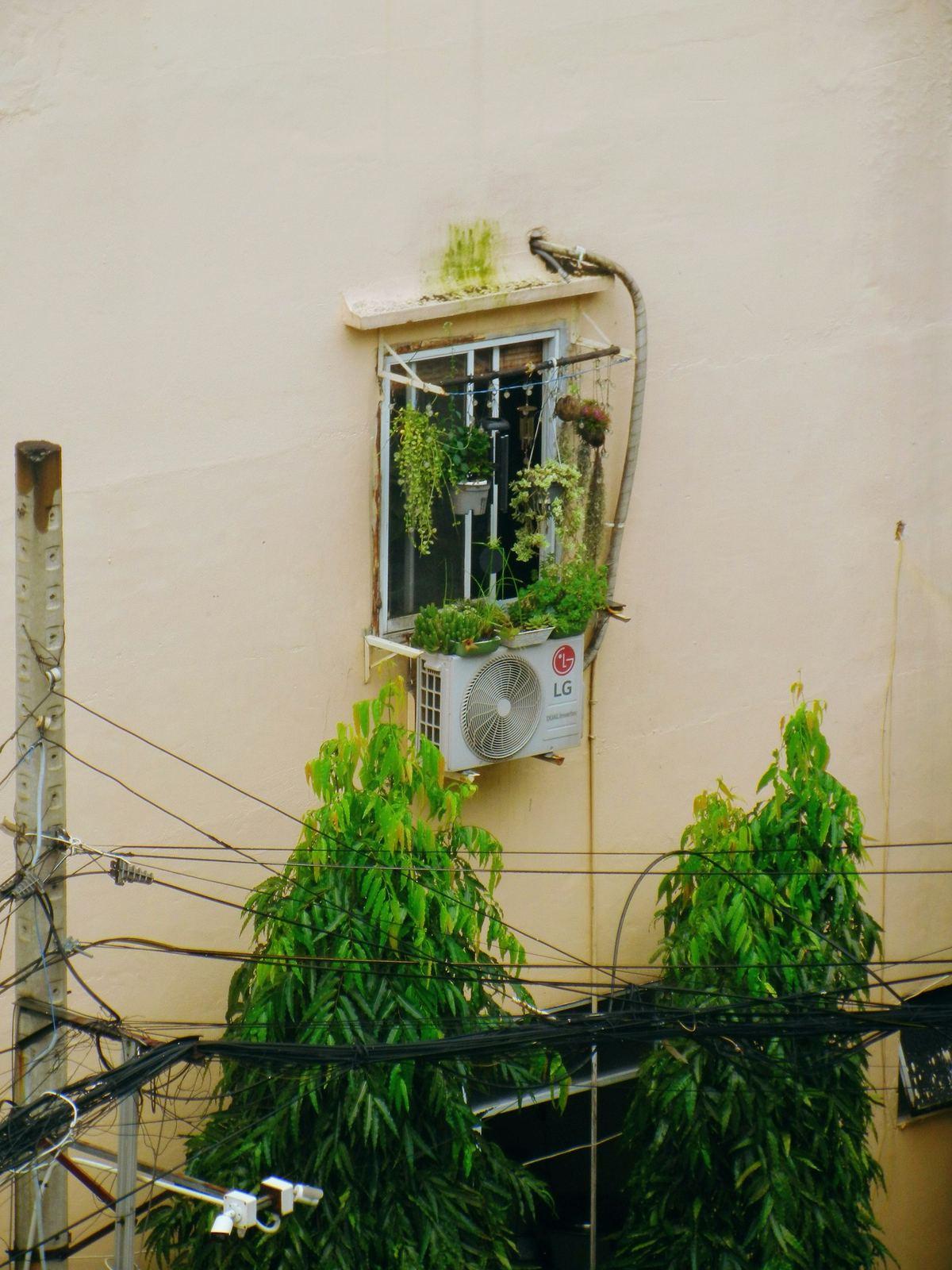 Window Units